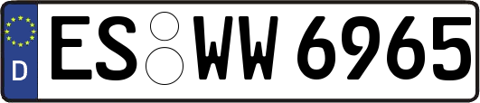 ES-WW6965