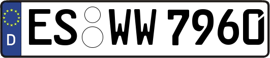 ES-WW7960
