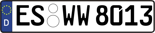 ES-WW8013