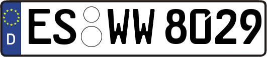 ES-WW8029