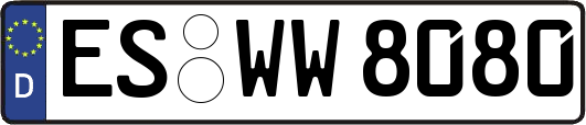 ES-WW8080