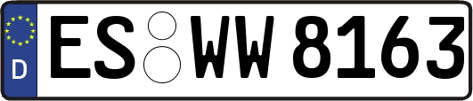 ES-WW8163
