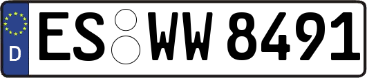 ES-WW8491