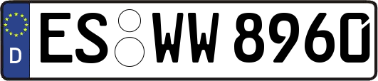 ES-WW8960