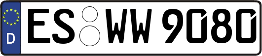 ES-WW9080