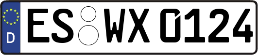 ES-WX0124
