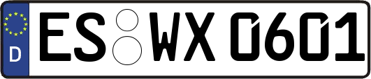 ES-WX0601