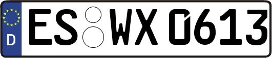 ES-WX0613