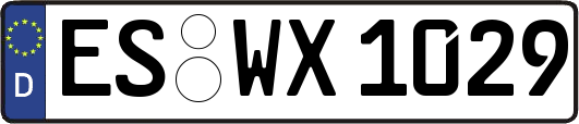 ES-WX1029
