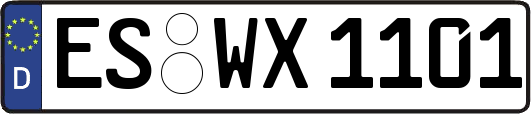 ES-WX1101