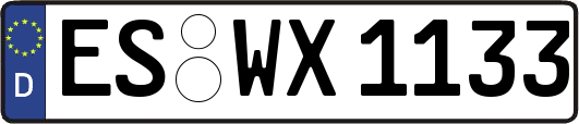 ES-WX1133