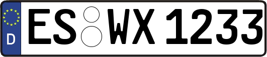 ES-WX1233