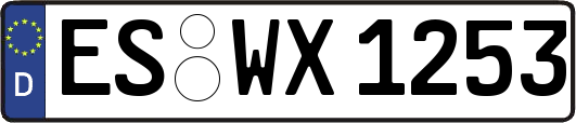 ES-WX1253