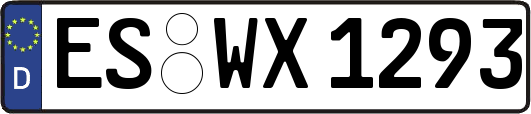 ES-WX1293