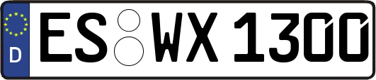 ES-WX1300