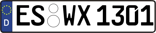 ES-WX1301