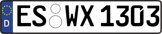ES-WX1303
