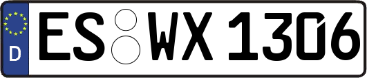 ES-WX1306