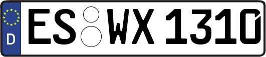 ES-WX1310