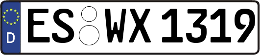 ES-WX1319