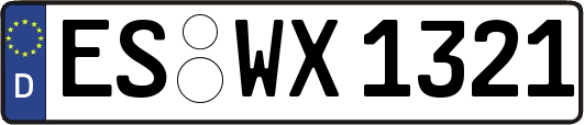 ES-WX1321