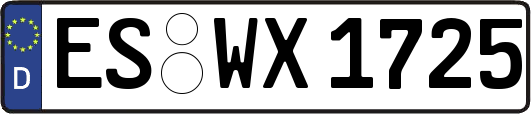 ES-WX1725