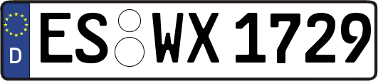 ES-WX1729