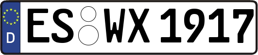 ES-WX1917