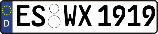 ES-WX1919
