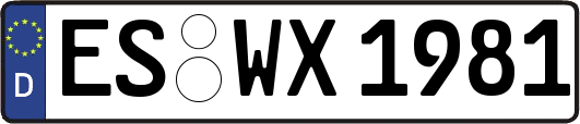 ES-WX1981