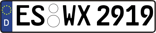 ES-WX2919