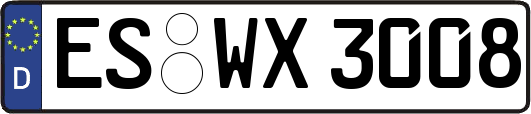 ES-WX3008
