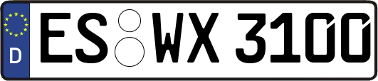 ES-WX3100