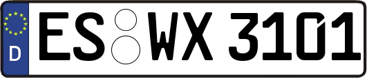ES-WX3101