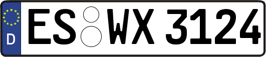ES-WX3124