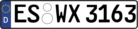 ES-WX3163