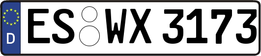 ES-WX3173