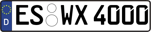 ES-WX4000