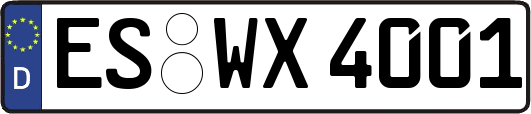 ES-WX4001
