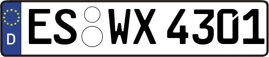 ES-WX4301