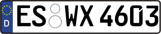 ES-WX4603