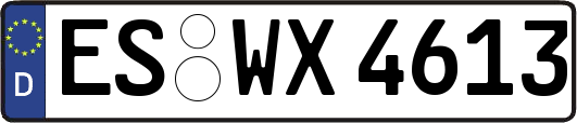 ES-WX4613