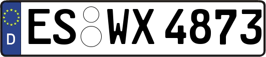 ES-WX4873