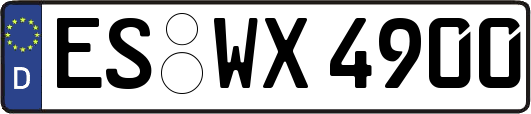ES-WX4900