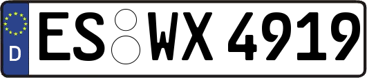 ES-WX4919