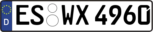 ES-WX4960