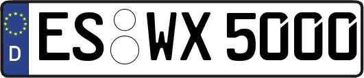 ES-WX5000