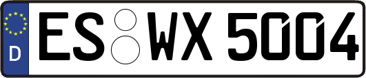 ES-WX5004