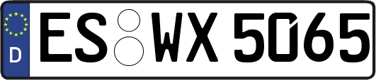 ES-WX5065