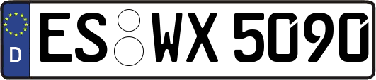 ES-WX5090